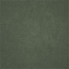 Pale Green (2156)